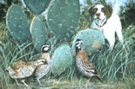 Cactus Covey - Quail & Dog Art Print by Les McDonald, Jr.